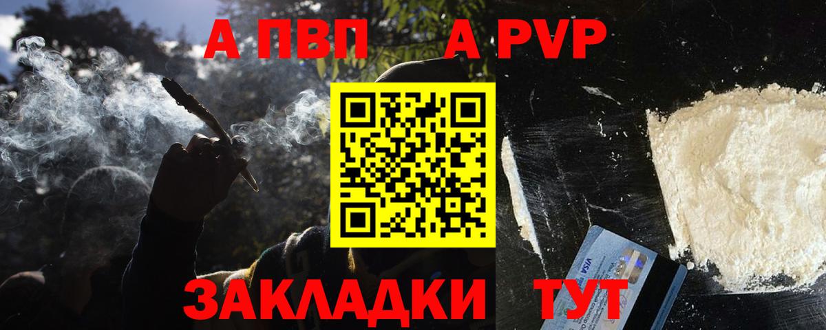 Альфа ПВП СК Губкин