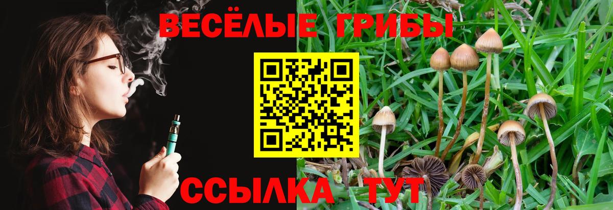 Галлюциногенные грибы мухоморы Губкин