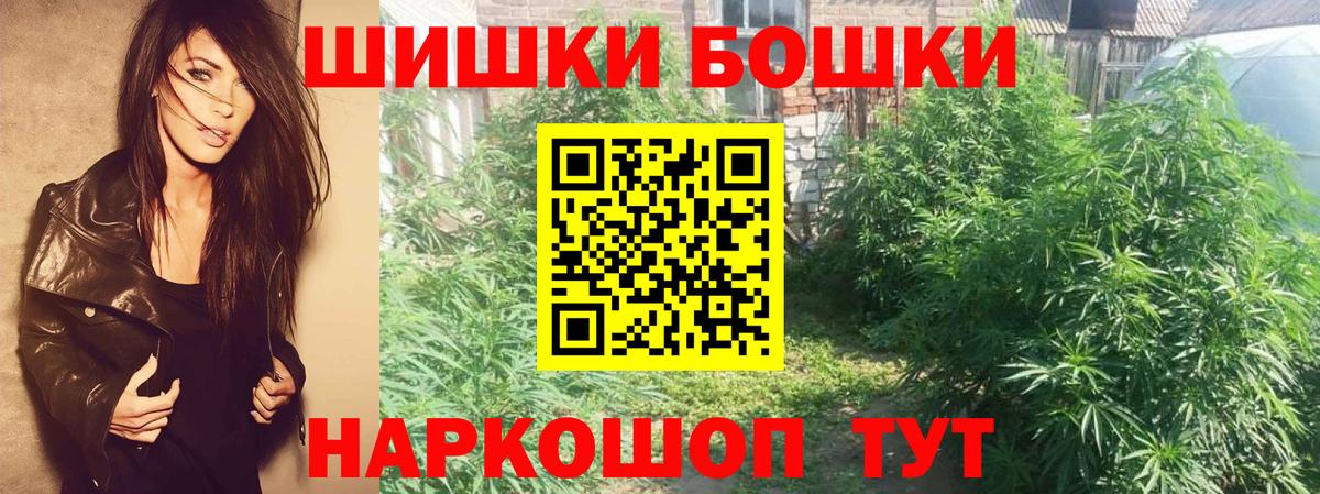 Губкин  Бошки марихуана марихуана  Вход с VPN  МАРИХУАНА тримм  Марихуана план 